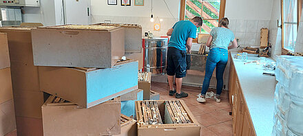 Honigwaben entdeckeln Honigwaben entdeckeln